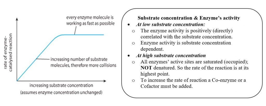 Enzyme concentration experiment picture