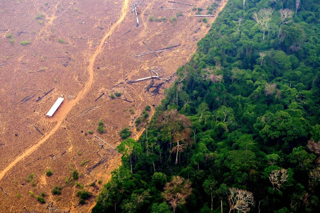  environmental-science