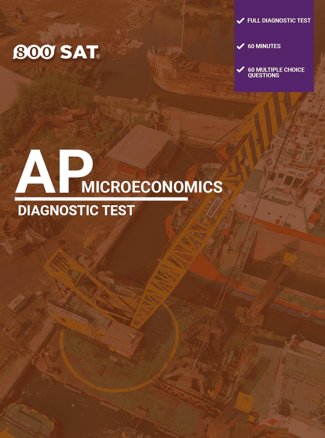 AP Microeconomics Diagnostic Test