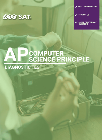 AP Computer Science Principle Diagnostic Test