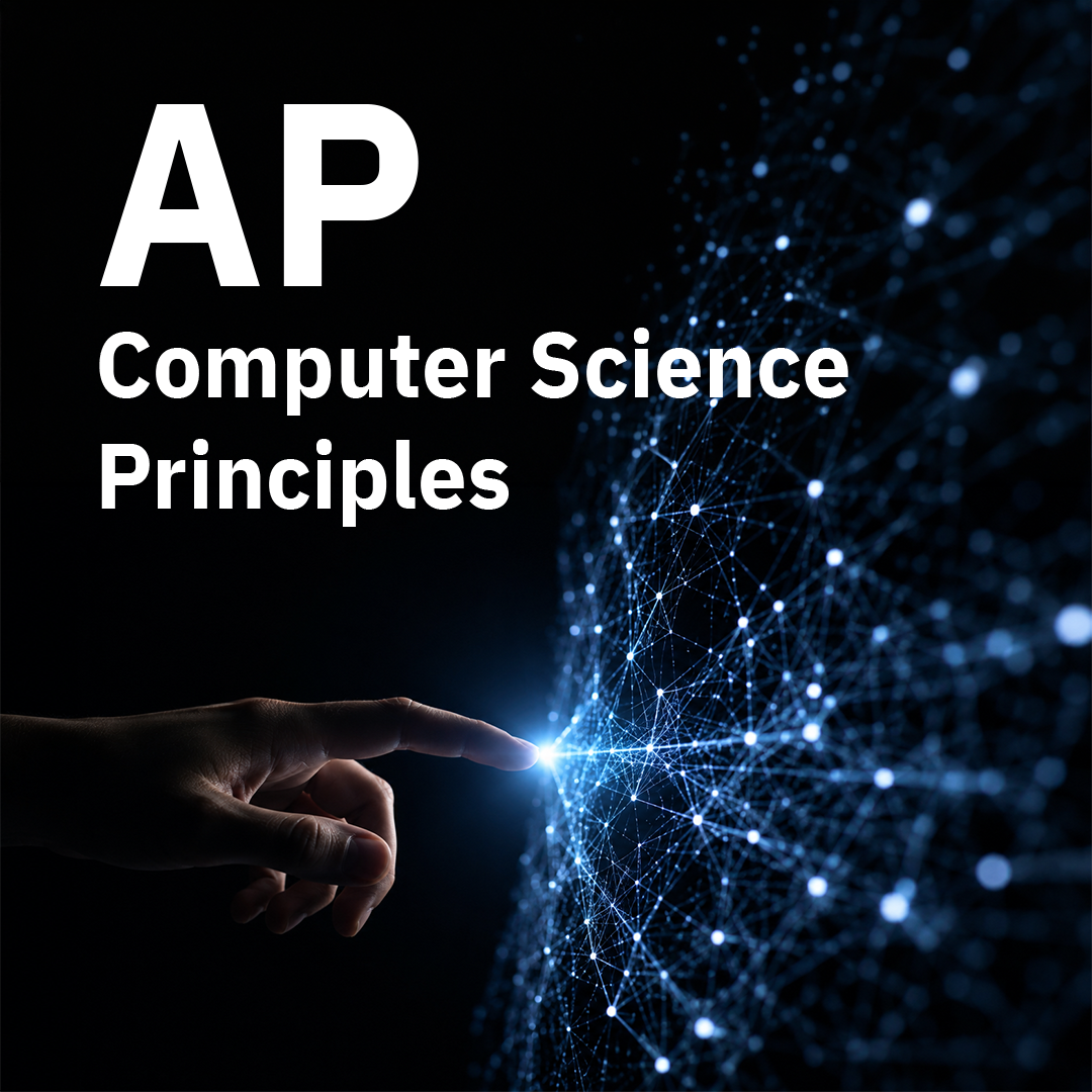 AP Computer Science Principles Group Course