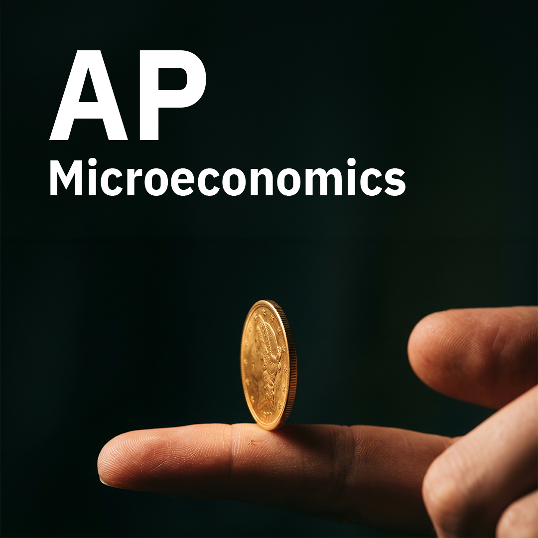 AP Microeconomics Group Course