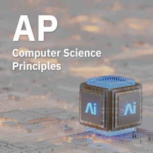 AP Computer Science Principles Group Course / 1-1 Course