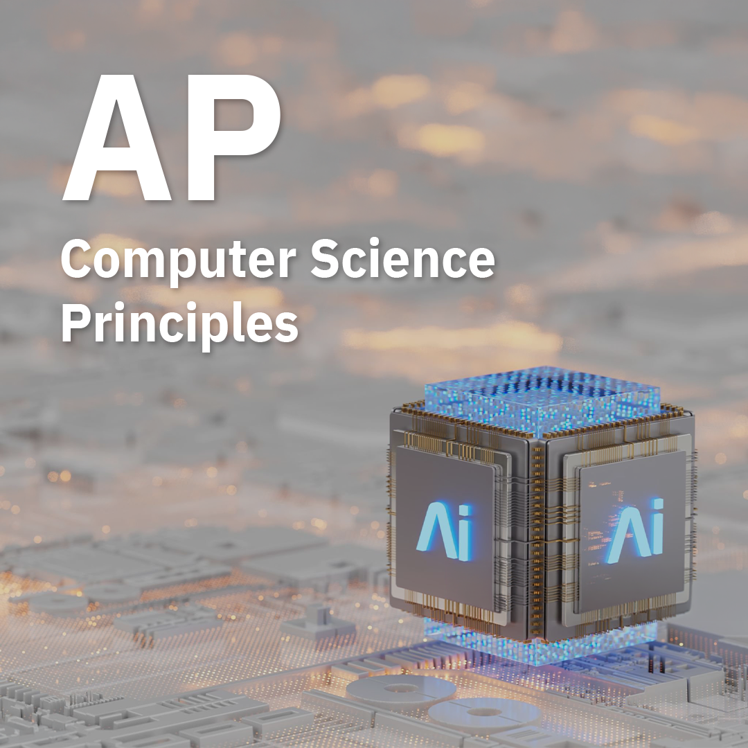 AP Computer Science Principles Group Course / 1-1 Course