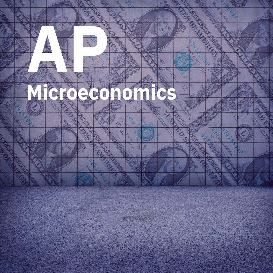 AP Microeconomics Group Course / 1-1 Course